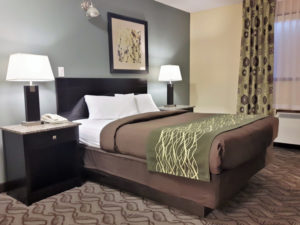 Single Queen Room1 Single Queen Room1